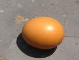 北京太热了，晒晒一只鸡蛋在户外烤熟的全过程