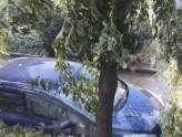 热水器水管爆裂冰晶从树上一直挂到汽车上 好壮观